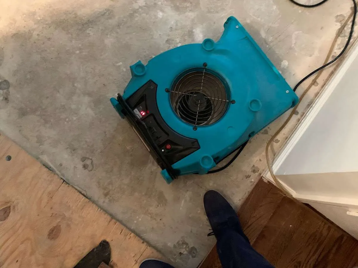 Air mover drying subfloor during Leak Detection & Repair in Gonzales